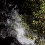 yew