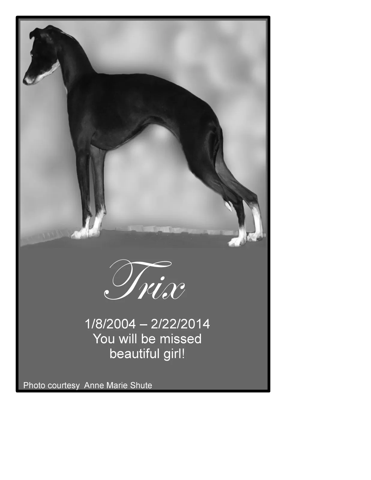 Trix memorial-page-001