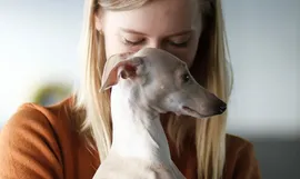 Keke and pups 2