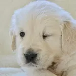 jk right 1 wk