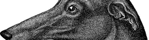 Amore & Chaulait chopin script