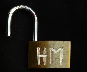 Amore and Salswift's Collaboration, cropped