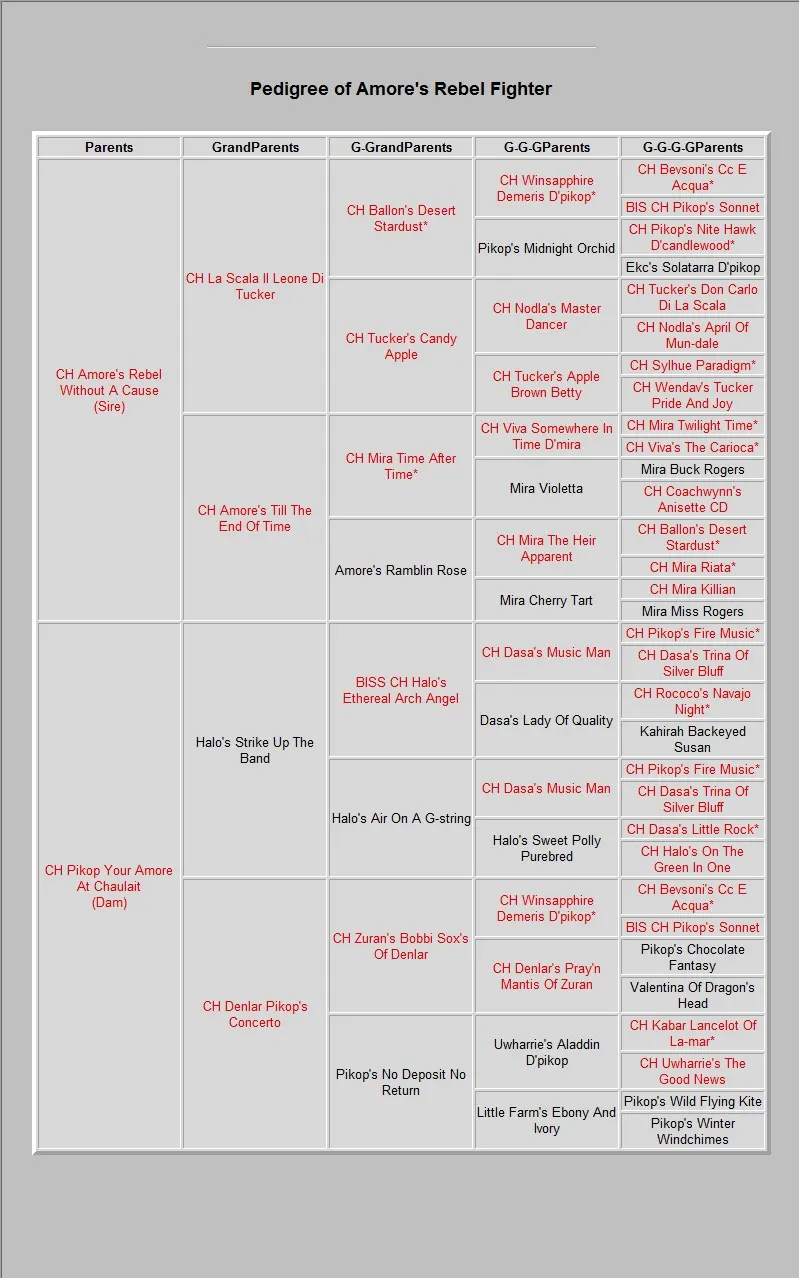 Pedigree of AMORE'S REBEL FIGHTER