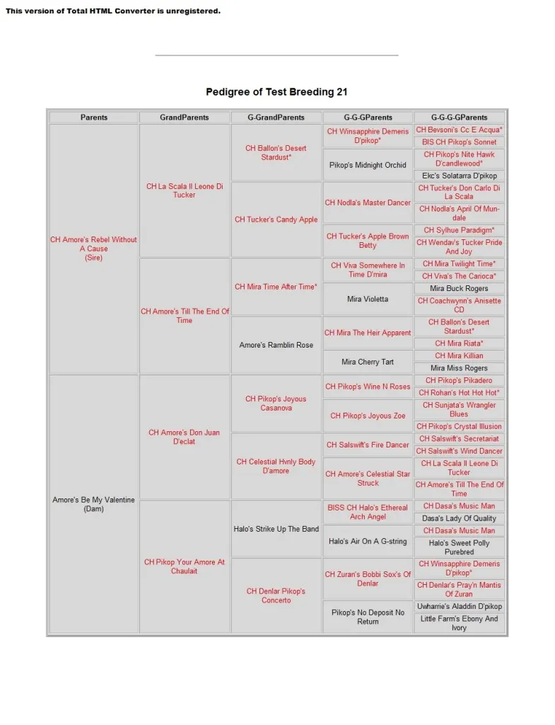 Amore's Afterglow pedigree jpg