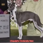 Chaulait's Cinderella Man 3X