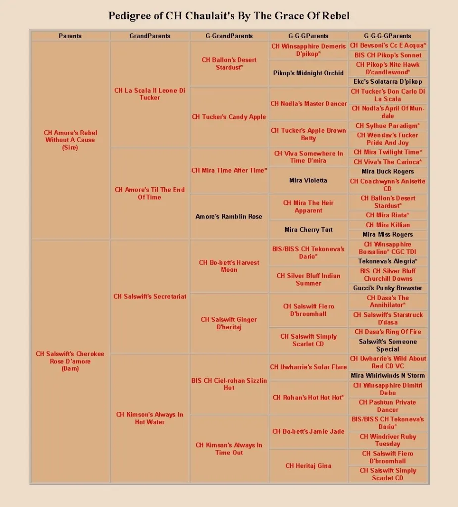 pedigree of chaulait's by the grace of rebel, cropped
