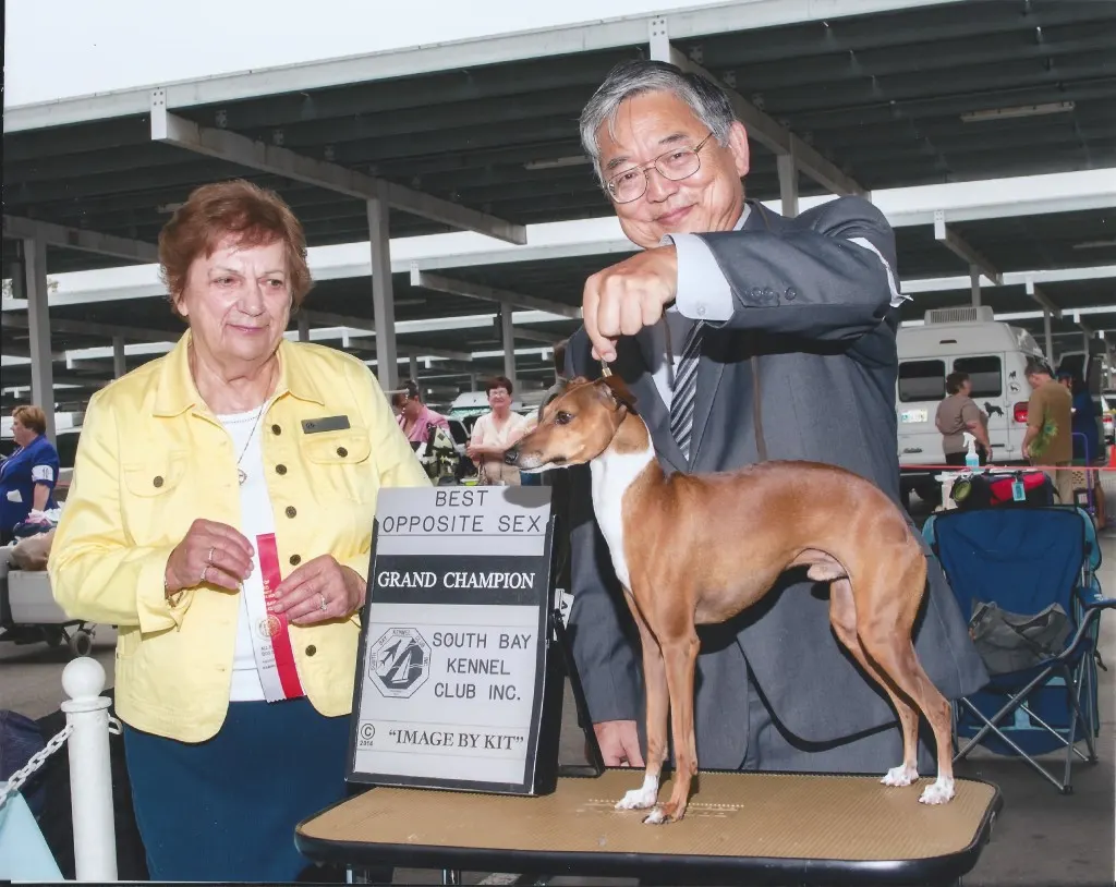 Amore and Chaulait's Symphony By The Rebel GCH photo